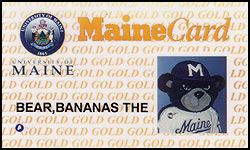 University of Maine Student Card - Example 3