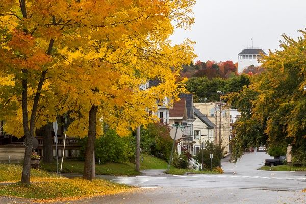 Street Standpipe Foliage