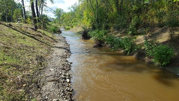 Habitat improvements on Capehart Brook